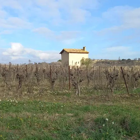 I Languedoc. Апартаменты Nezignan-l'Eveque