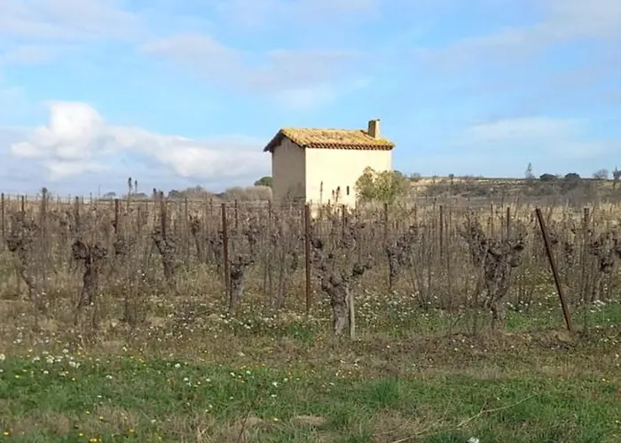 I Languedoc. Διαμέρισμα Nézignan-lʼÉvêque